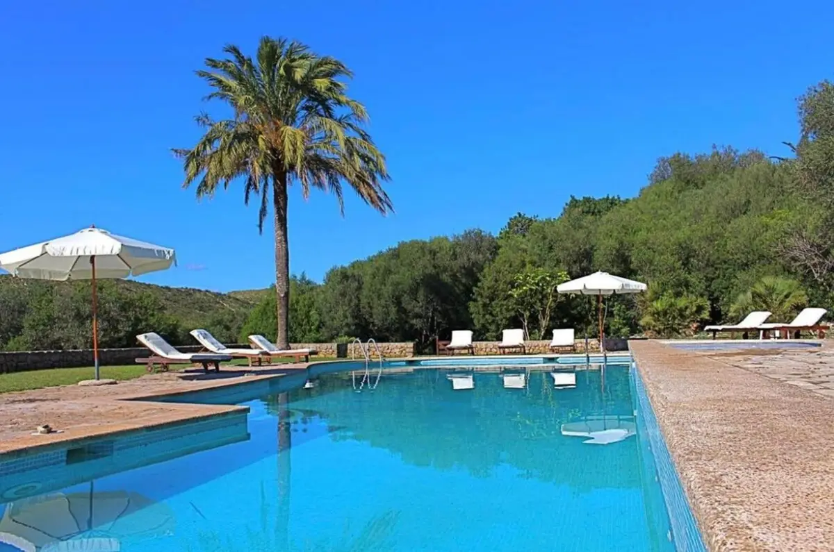 Langer Pool mit Palme und Sonnenliegen, umgeben von Rasen